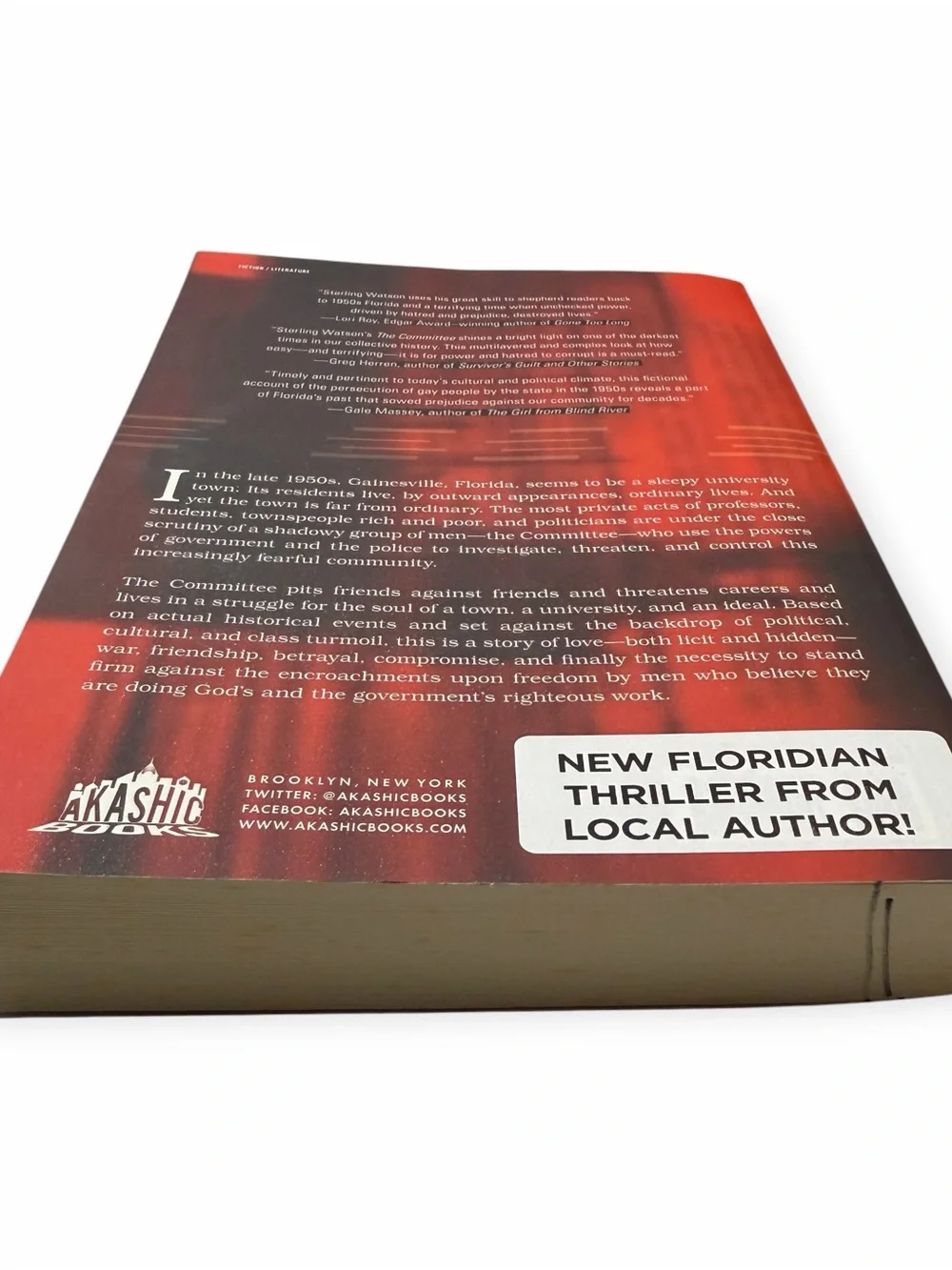 Sterling Watson The Committee Novel Florida Historical Fiction Paperback